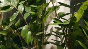 В Детство бы снова...