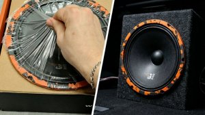 Обзор динамиков Gryphon Pro 250 от DL AUDIO | 300 WATT