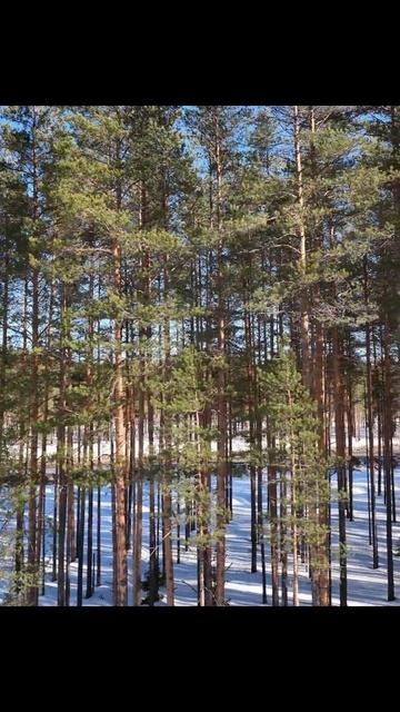 Начало весны. Версия 6. Музыкальная композиция на стихи Андрея Субботина