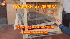 Клетка для кур несушек с яйцесборником своими руками как сделать