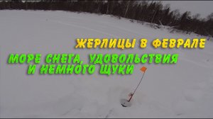 Море снега, удовольствия и немного щуки. Жерлицы в феврале