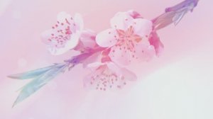 Весенний фон, нежные распускающиеся цветы