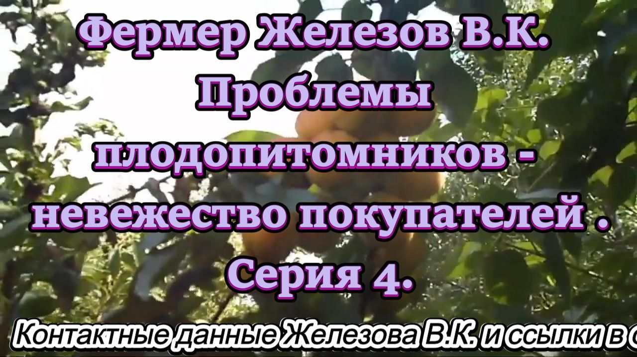 Фермер Железов В.К. Проблемы плодопитомников - невежество покупателей. Серия 4.
