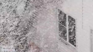 Сборник лучшей музыки Сергей Грищук ноябрь @ComfortZonemusic08