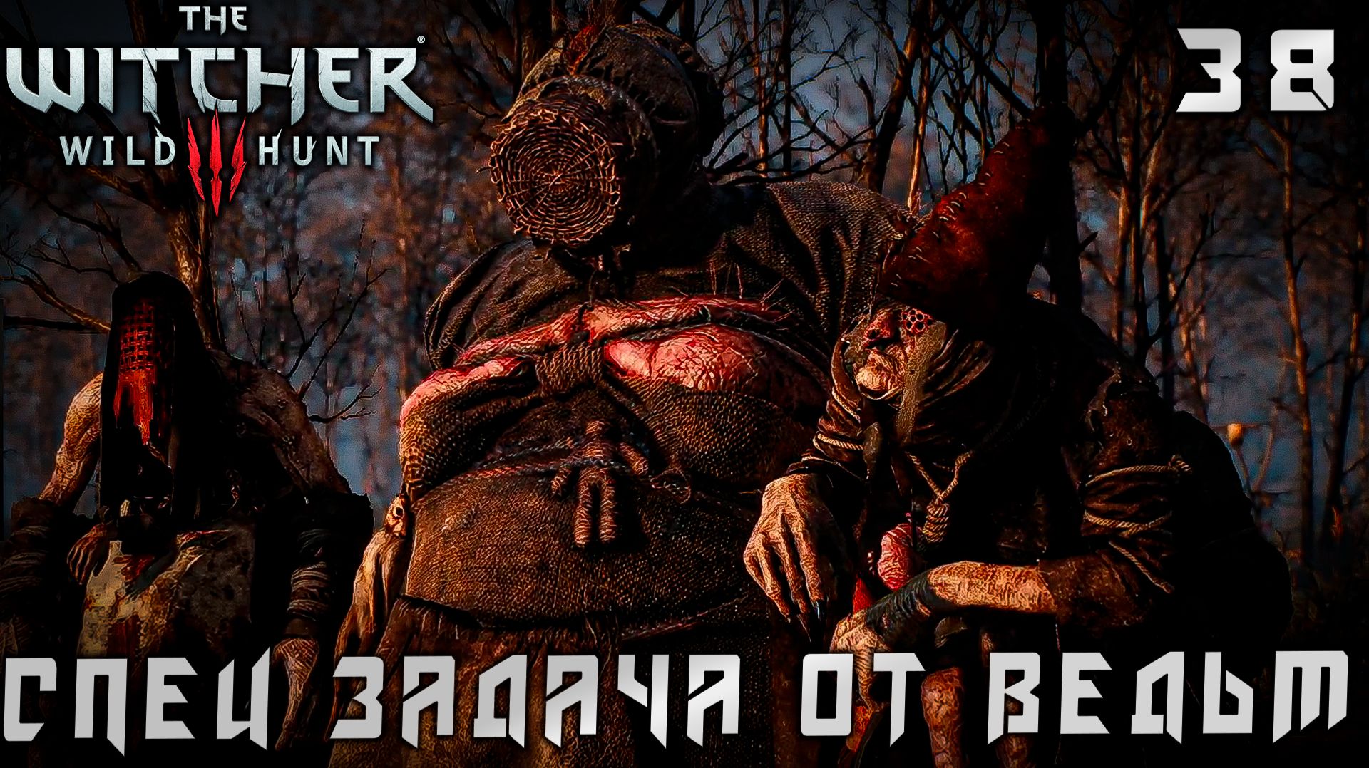 Ведьмак 3 Дикая Охота - Спец задача от Ведьм #38 (The Witcher 3 Wild Hunt)