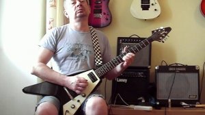 Epiphone Flyig V Korea