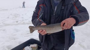 VID_20260301_124208_648