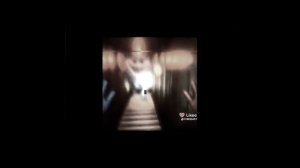 Эдит хаги-ваги