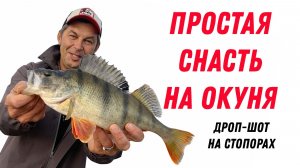 БЫСТРО и МНОГО ОКУНЯ с этой снастью поймает даже ребенок Спиннинг дроп шот