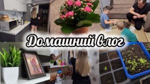 АРХИВ 2025Г 🕜ВЕСЕННИЙ ВЛОГ🪻ВЕСНА - ХОЧЕТСЯ ПЕРЕМЕН😊