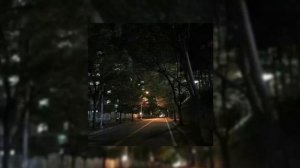 вайбовая подборка песен ( speed up )