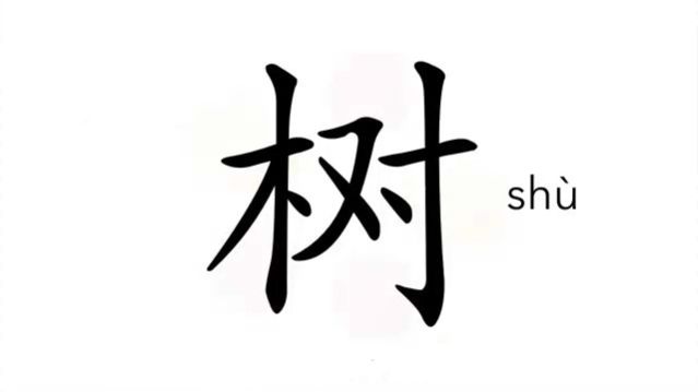 树 (shù) tree