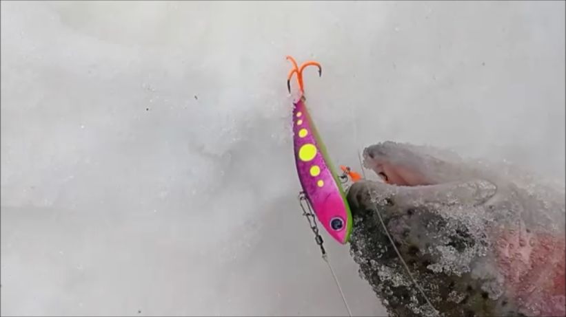 Поимки и сходы на запуске. Спорт-зона. Клёвое место Лосиный остров. смотреть онлайн