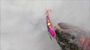 Поимки и сходы на запуске. Спорт-зона. Клёвое место Лосиный остров.