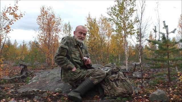 Север. Лес. Просто прогулка. И разговор о разном..