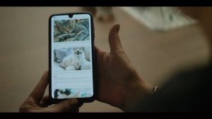 Мотель «Синее убийство» 6 серия (сериал, 2026)