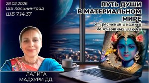 Путь души в материальном мире: от растений и камней до животных и людей. Лалита Мадхури. ШБ 7.14.37
