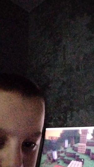 Майнкрафт паркур