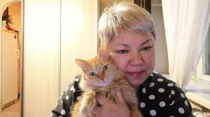 Лайфстайл о том о сем, или посиделки с рыжим котом