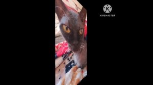 [22:37][Эдит Мунечке:3]