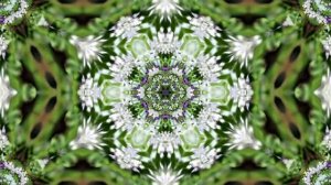 Видеофоны! Видеофон Подснежники 5! Футаж от Киностудии Мудрого Кота Тимофея!