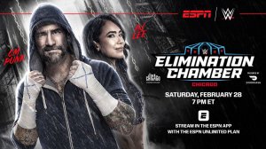 WWE - ELIMINATION CHAMBER