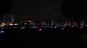 Парк Галицкого, Краснодар зимой(2)