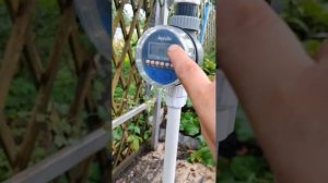 Капельный полив.