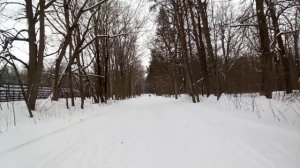 28 февраля 2026 Городская роща