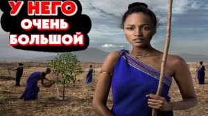 ОСЕДЛАТЬ ТАКОЙ БОЛЬШОЙ МОЖЕТ НЕ КАЖДАЯ _ ПЕРВАЯ БРАЧНАЯ НОЧЬ, АФРИКА