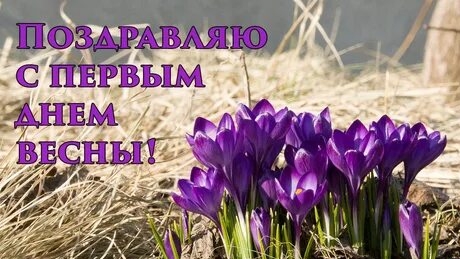 Здравствуй Весна. С первым днём Весны. Роскошная музыкальная открытка. смотреть онлайн