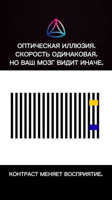 В этом видео все объекты движутся с одинаковой скоростью.