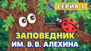 Пластилиновый эко-букварь Курской области | Серия 1: Заповедник имени В. В. Алехина