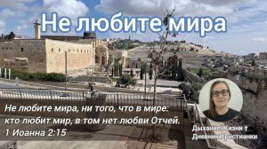 В миру не от мира сего. Не любите мира