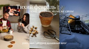 Посевы в феврале + зимний ритм загородного дома.