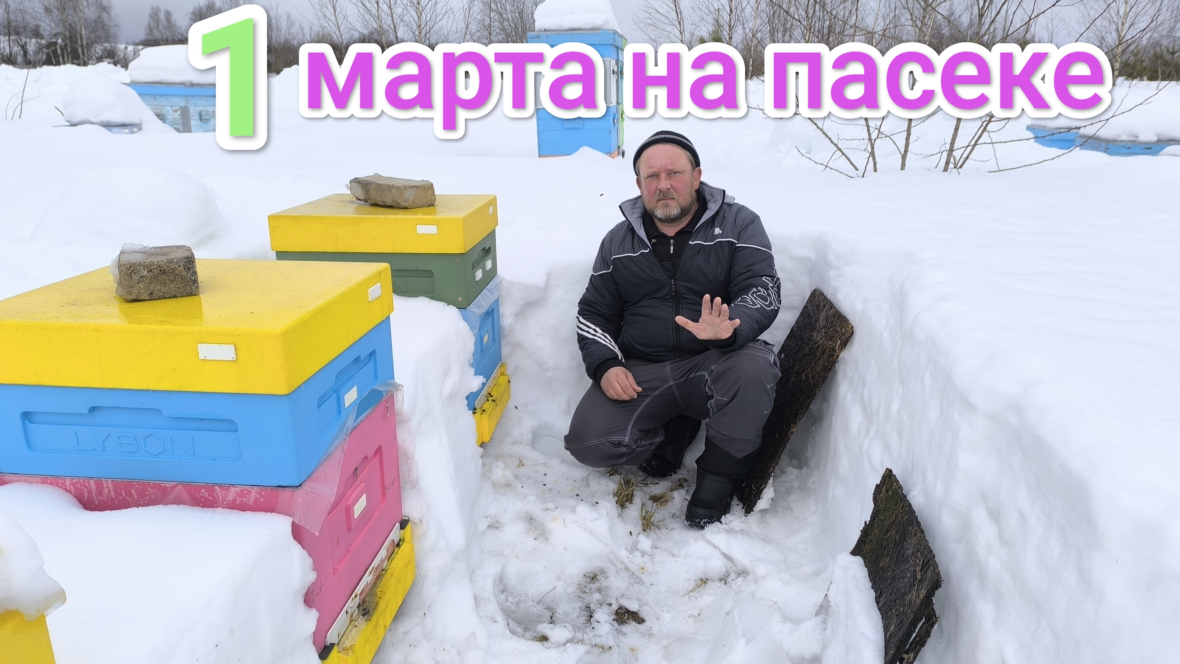 Как зимуют пчёлы в ульях ППС и лежаке. Пчеловодство Владимирской области. смотреть онлайн