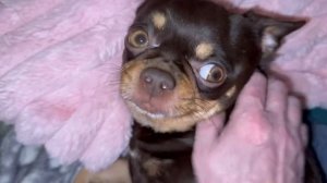 Всем доброго вечера и самых сладких снов.