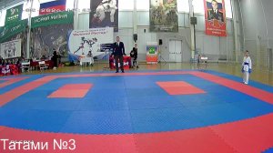 Татами № 3 Турнир по Каратэ WKF "Великий Мастер" 1 марта 2026.