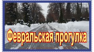 Зима на Новодевичьем кладбище.