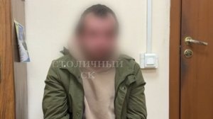 Сбивший насмерть девушку в Москве водитель расплакался на допросе