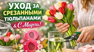 Уход за срезанными тюльпанами