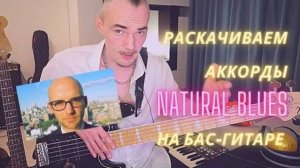 Для начинающего бас-гитариста лучшая гармония из песни Moby - Natural Blues. АККОРДЫ БАСОВОГО ГРУВА
