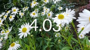 Лунный календарь Комнатного Цветовода с2.03-8.03.26г.