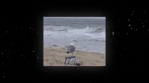 Никогда не было отношений- что с тобой не так_HD