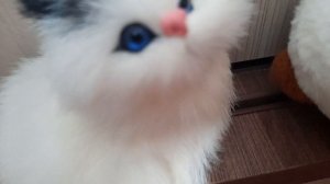 фильм про котиков