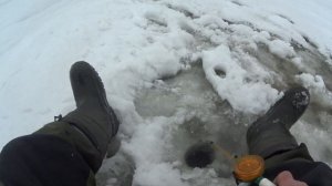 Репино. Рыбалка 1.3.26.