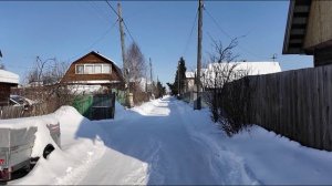 Экстренную вакцинацию домашних животных от бешенства начали проводить в тюменских СНТ