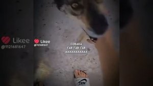 пхапхапхапхапхапхапхапхапхапхапхапхапха