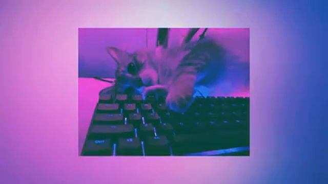 вайбовый плейлист 🎧 песни из тик тока 🎵 ( speed up ) смотреть онлайн