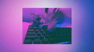 вайбовый плейлист 🎧 песни из тик тока 🎵 ( speed up )